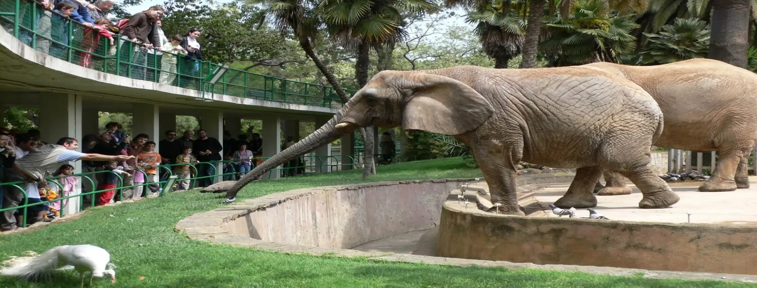 Image for Lanzhou Zoo